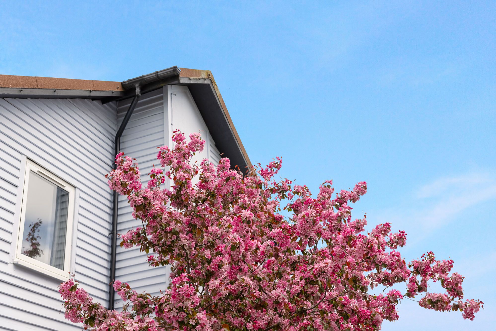 A roof shot of our New Style Silver Apartments at Skegness.