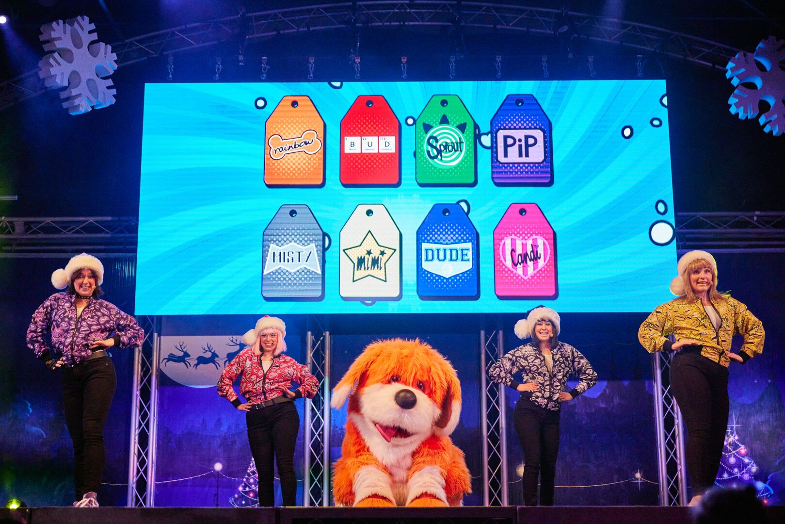The Skyline Gang on stage performing during a Christmas show