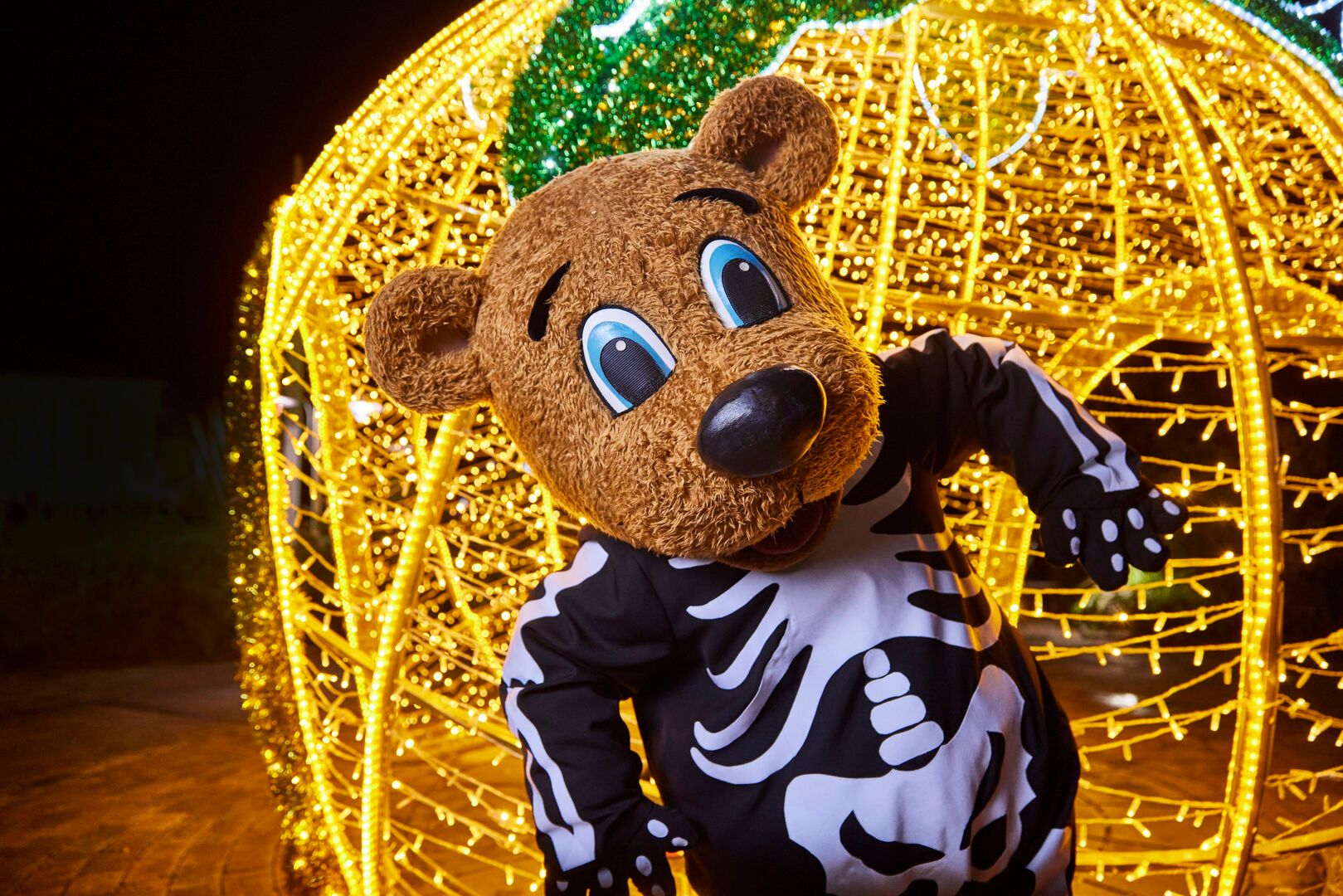 Billy Bear dressed in a skeleton costume, poses in front of a large, lit-up pumpkin decoration.