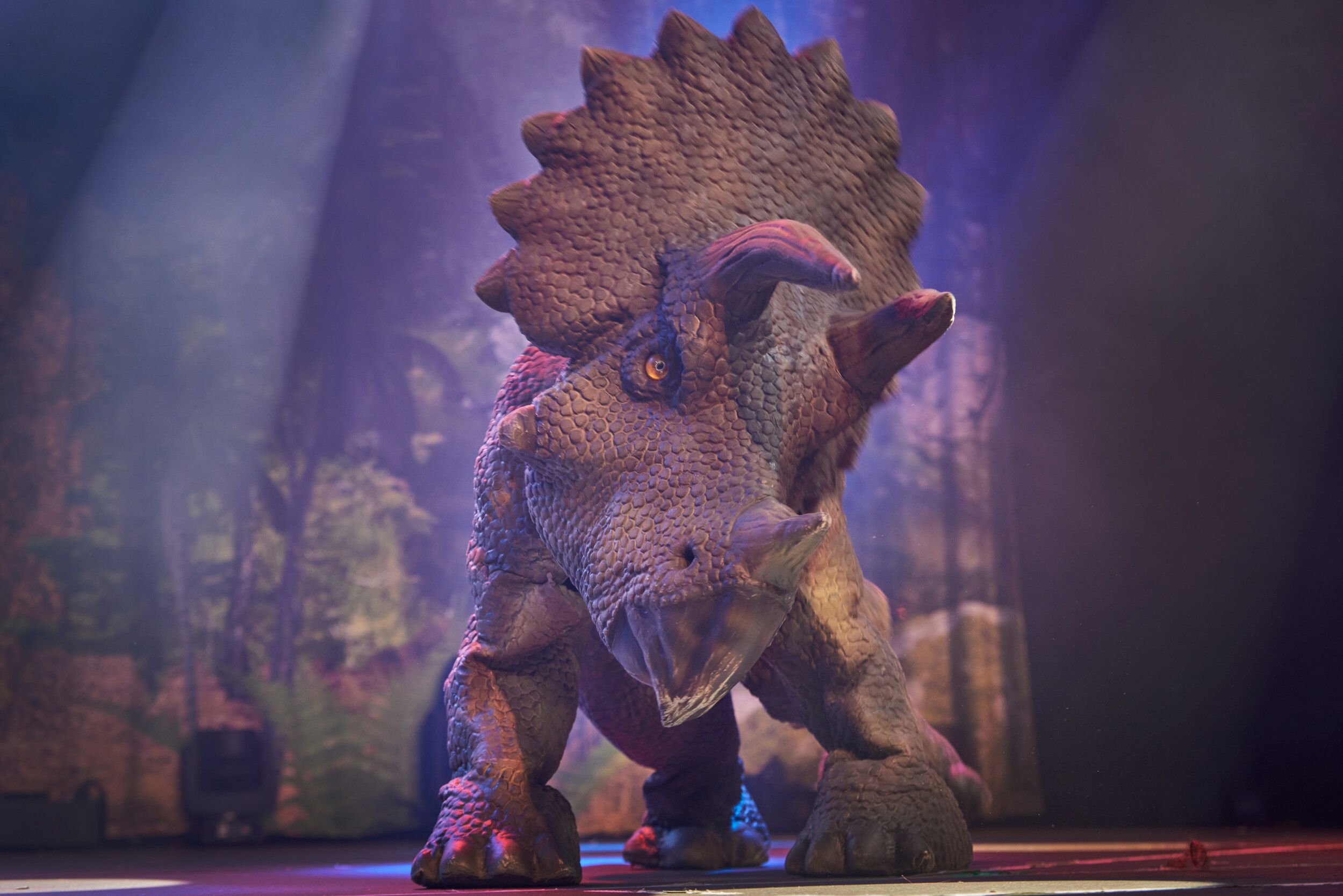 A fierce life-size Triceratops.
