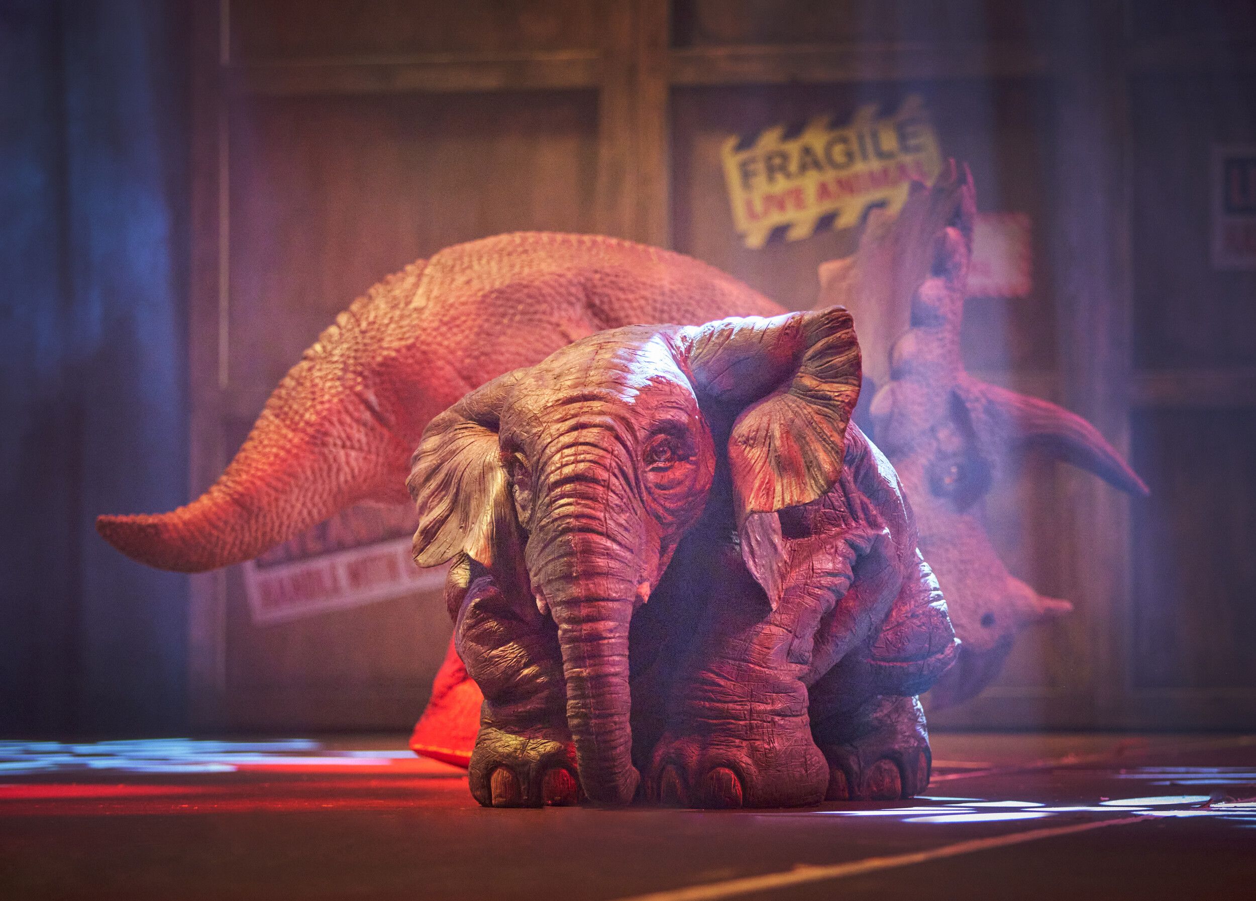 A life-size baby elephant in front of a Triceratops.