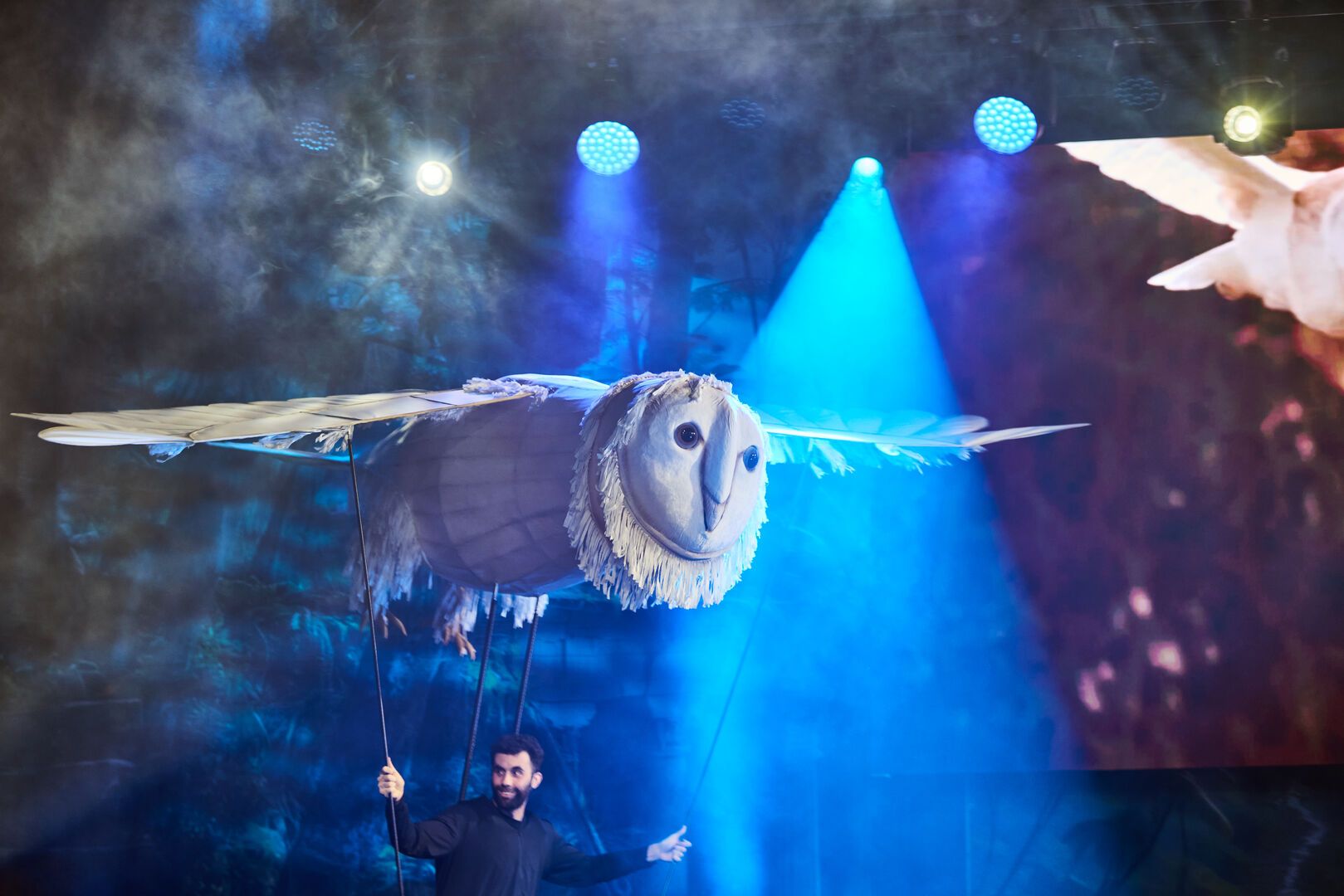 A large man-made Owl flies above the audience during the Animals and Mythical Beasts show.